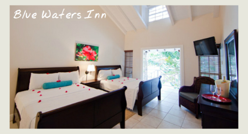 blue waters inn - eco holidays in tobago
