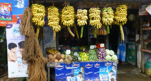 Banana Stall - Sri Lanka & Maldives trip