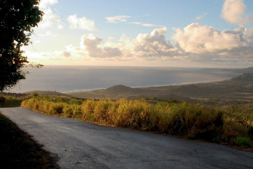 Barbados open road 500335
