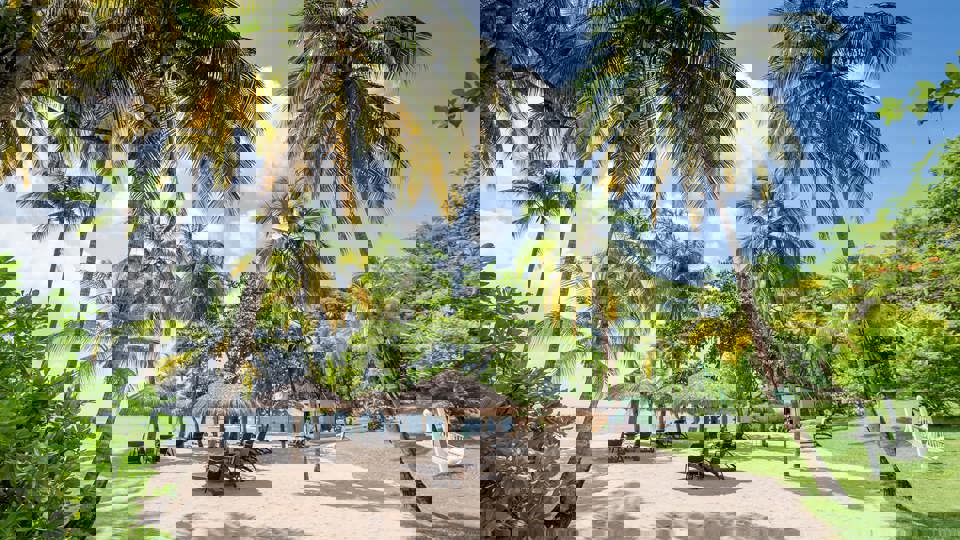 Featured 07