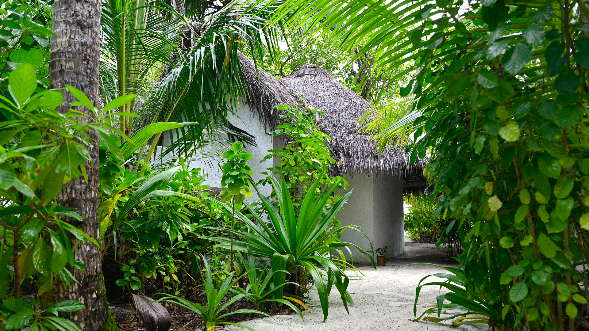 Accommodation at Makunudu