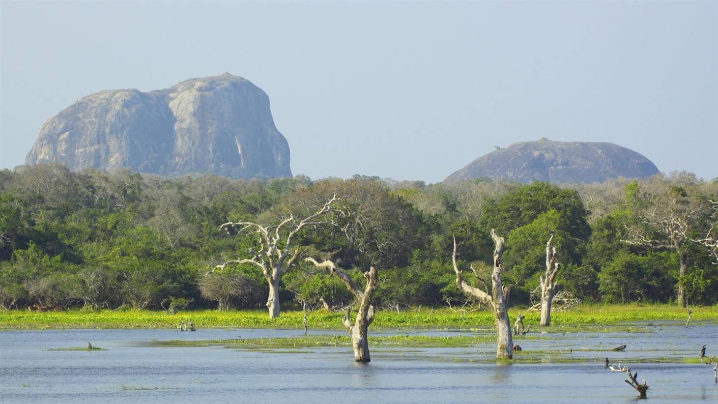 Tissa Wewa Lake