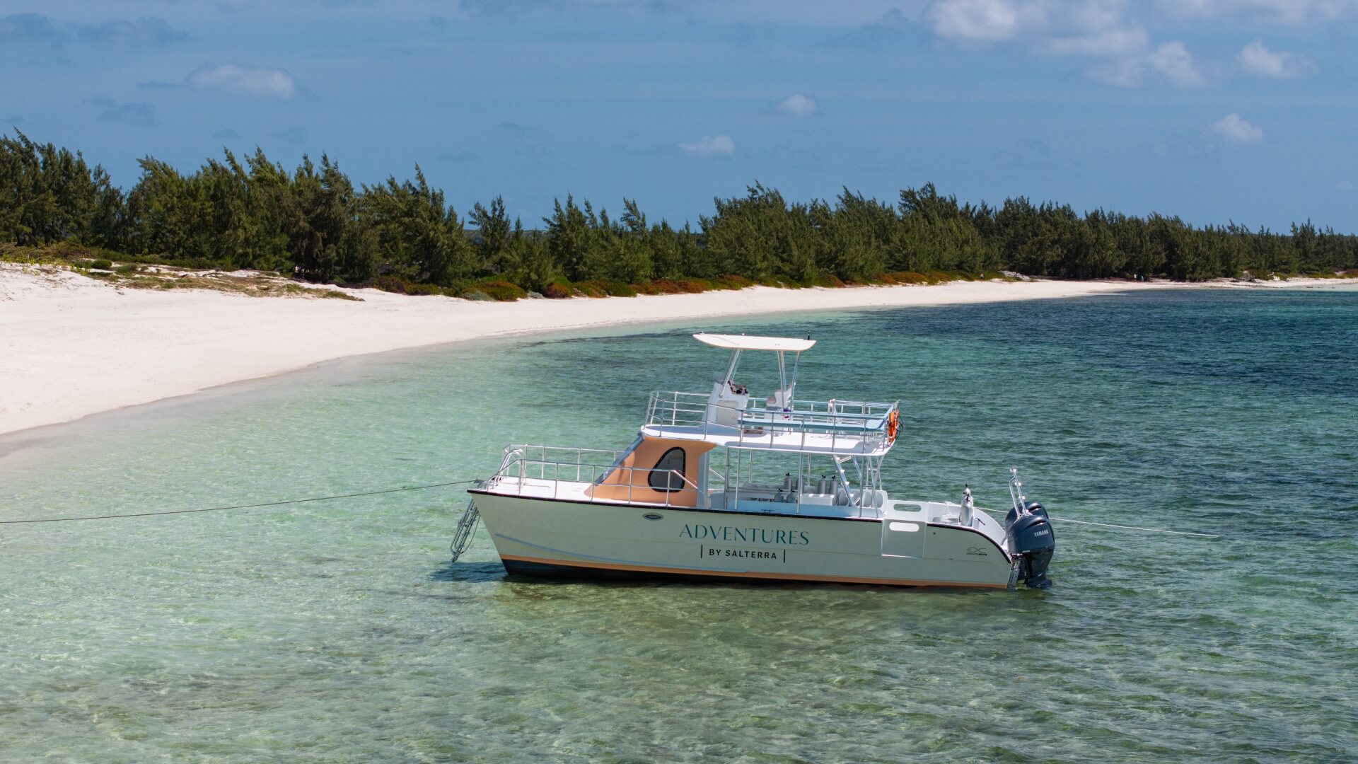 Boat trips at Salterra