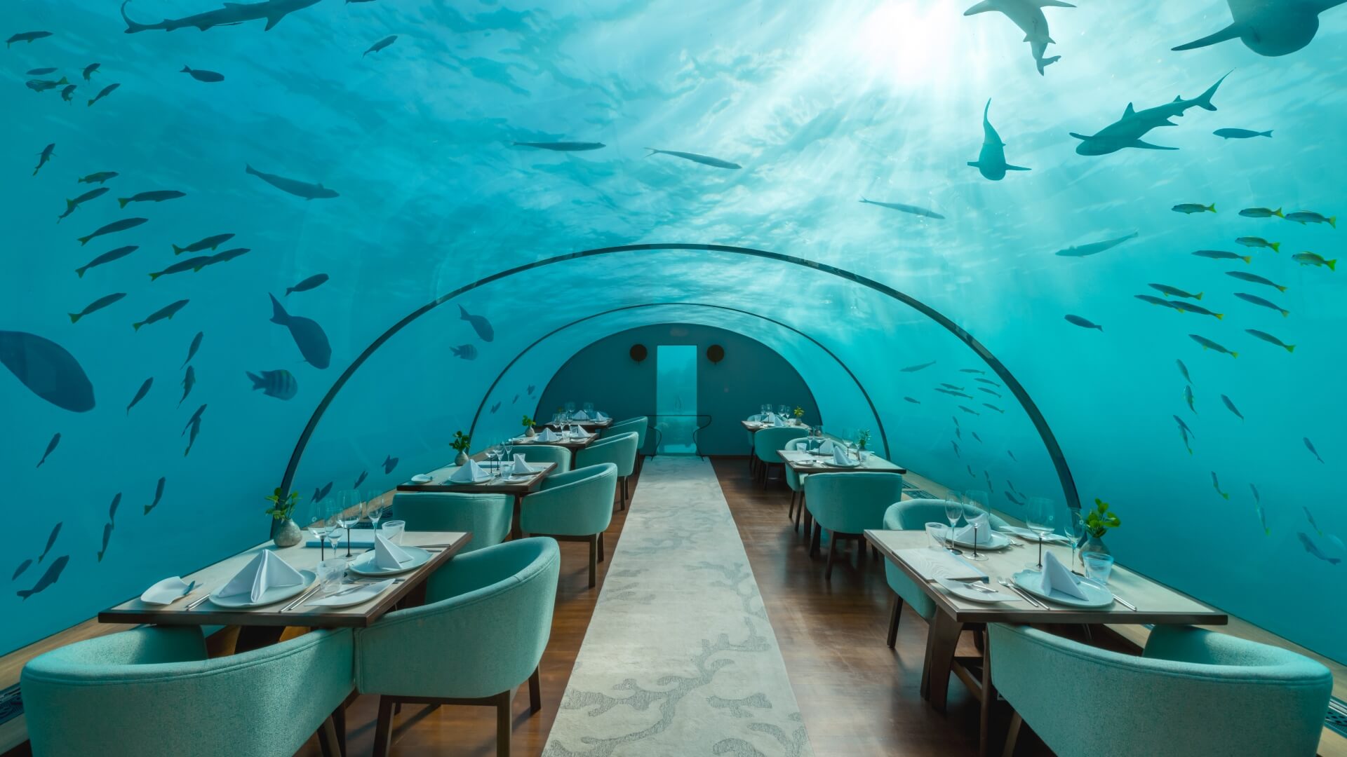 Underwater restaurant at Conrad Rangali