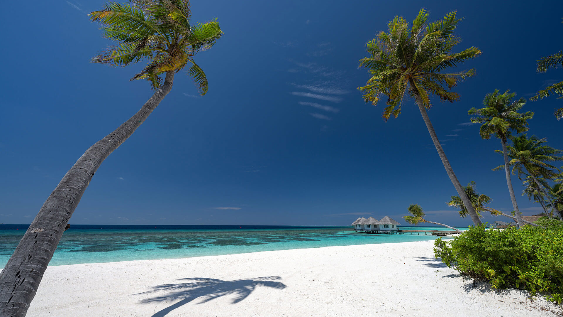 Corcia Core Cora Cora - Luxury Maldives Holidays